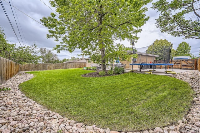 6046 Vrain St, Arvada, CO 80003 - view of yard with a trampoline