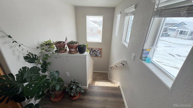 interior space featuring baseboards, wood finished floors, and a textured wall