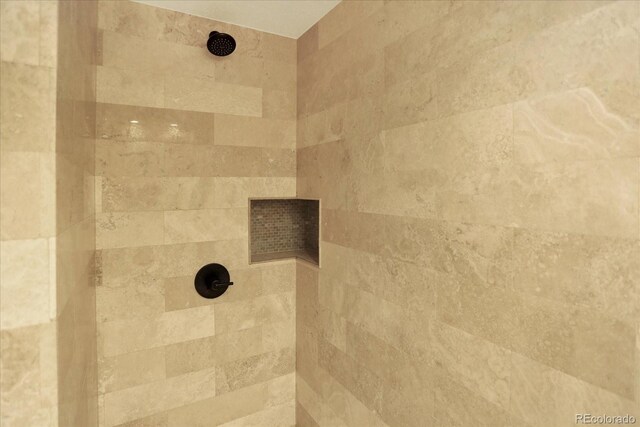 bathroom view of a tile shower
