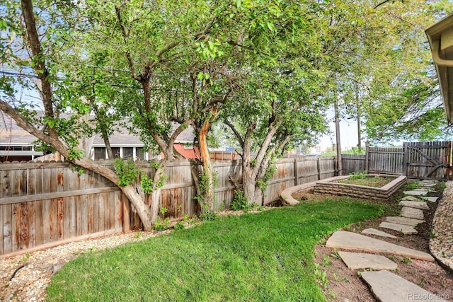view of yard with a vegetable garden