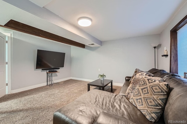 10440 W 83rd Ave, Arvada, CO 80005 - carpeted living area with baseboards and visible vents