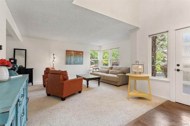 7951 S Webster Way, Littleton, CO 80128 - living area featuring a textured ceiling and light wood-type flooring