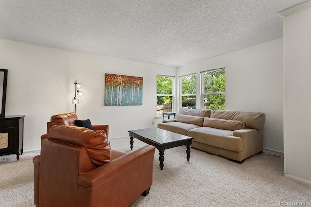 7951 S Webster Way, Littleton, CO 80128 - living room featuring light carpet and a textured ceiling