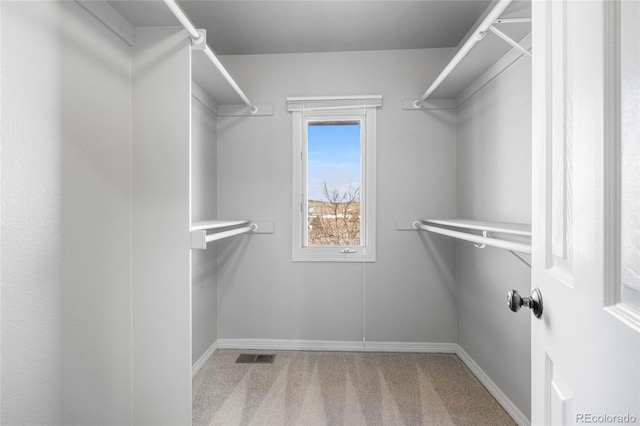 spacious closet with carpet flooring