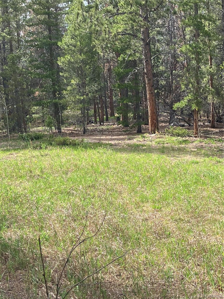 119 Cedar Way, Black Hawk, CO 80422