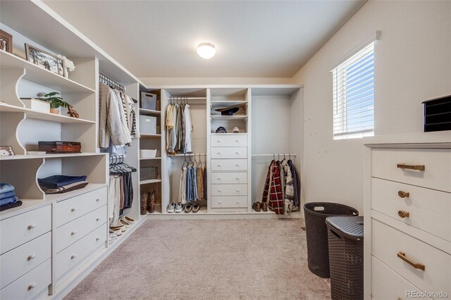 walk in closet featuring carpet