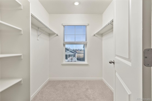 spacious closet featuring light colored carpet