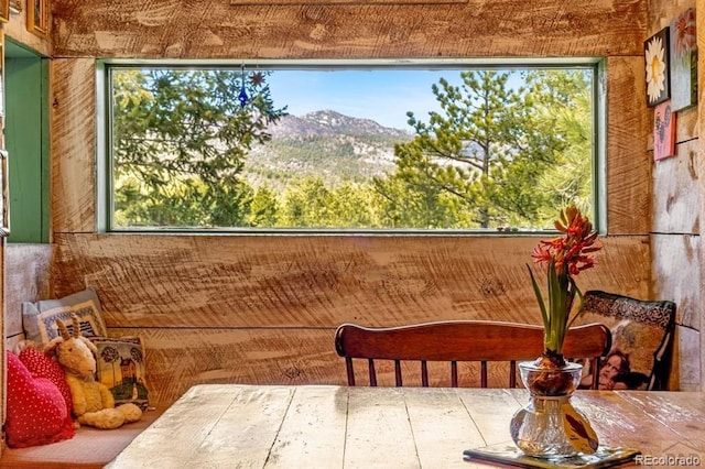 8929 Apache Dr, Beulah, CO 81023 - interior space with mountains