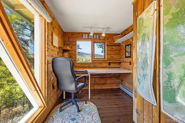 8929 Apache Dr, Beulah, CO 81023 - home office featuring dark wood finished floors, wood walls, rail lighting, and baseboard heating