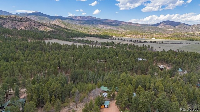 8929 Apache Dr, Beulah, CO 81023 - view of mountain background with a heavily wooded area