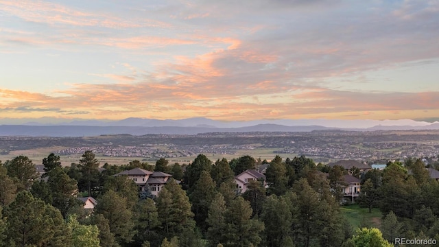 5171 Shade Tree Ln, Parker, CO 80134 - photo 40