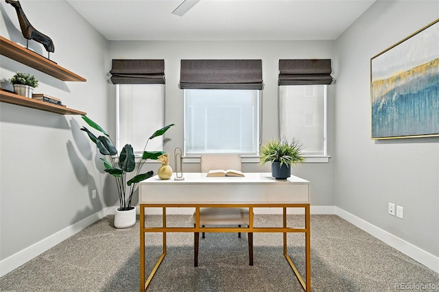 3431 W 16th Ave, Denver, CO 80204 - home office with carpet floors