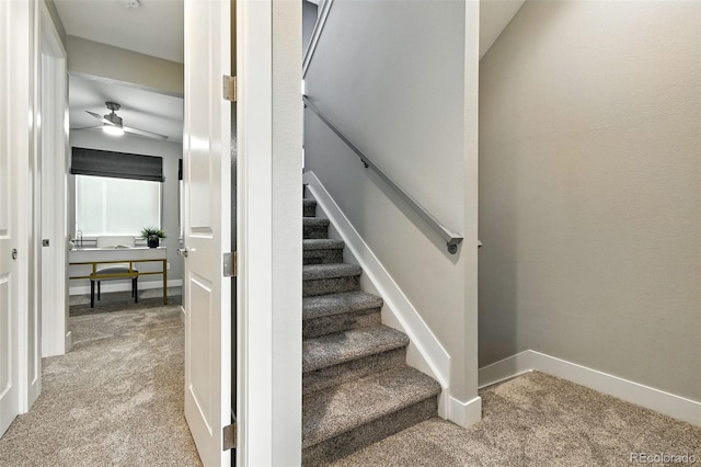 3431 W 16th Ave, Denver, CO 80204 - stairway with carpet floors and ceiling fan
