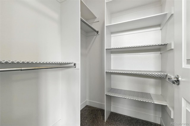 3431 W 16th Ave, Denver, CO 80204 - view of spacious closet