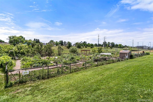 3431 W 16th Ave, Denver, CO 80204 - view of yard featuring a garden