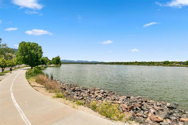 3431 W 16th Ave, Denver, CO 80204 - photo 43