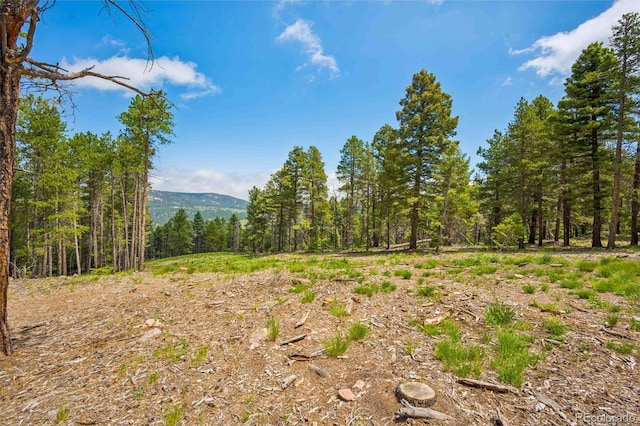 12329 Powhatan Trl, Conifer, CO 80433