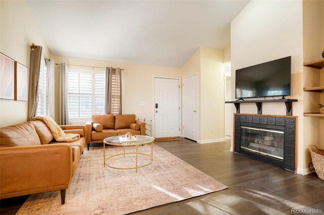 living room featuring a fireplace and dark wood-type flooring