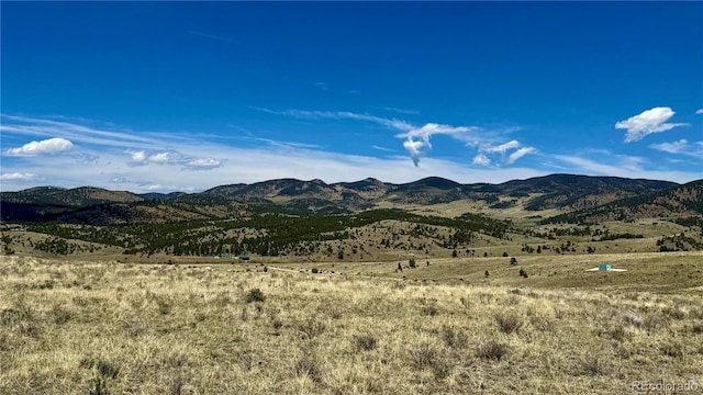 99 Melody Cir, Westcliffe, CO 81252 - photo 7