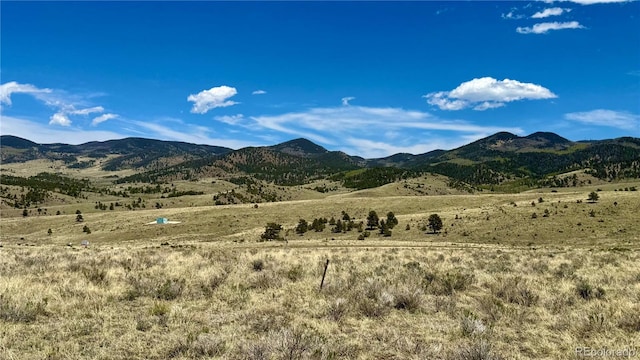 99 Melody Cir, Westcliffe, CO 81252 - photo 8