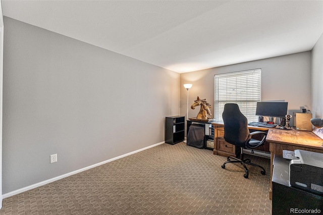 office space with carpet floors