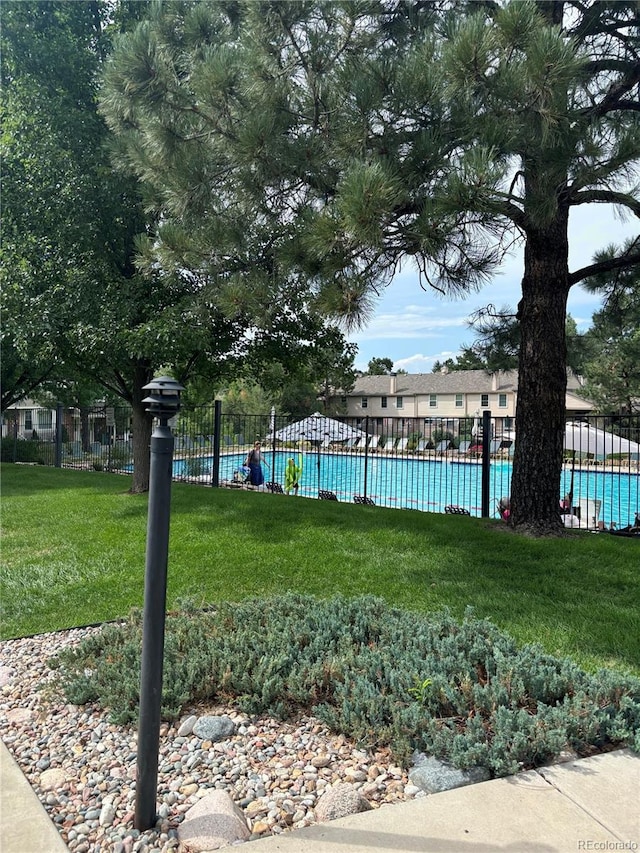 view of swimming pool featuring a yard