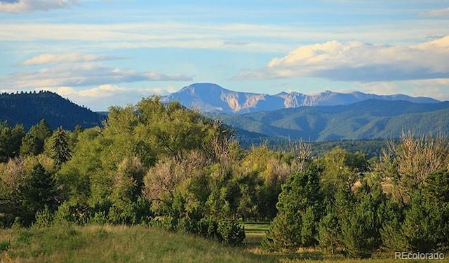 view of mountain feature