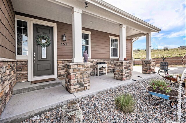 555 Heritage Trl, Elizabeth, CO 80107 - photo 3