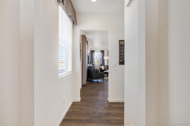 11782 Foraker Ln, Colorado Springs, CO 80925 - hall with dark wood-style flooring and baseboards