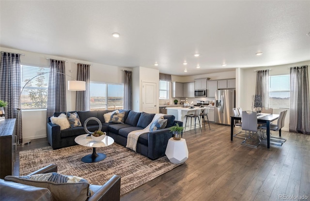 11782 Foraker Ln, Colorado Springs, CO 80925 - living area featuring healthy amount of natural light, dark wood-style flooring, and recessed lighting