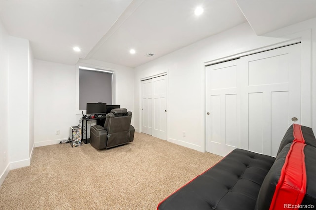 859 Schrage Way, Loveland, CO 80537 - photo 21