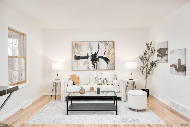 living room with wood-type flooring