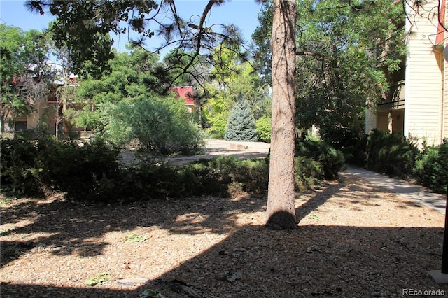 14780 E Kentucky Dr Unit 414, Aurora, CO 80012 - view of yard