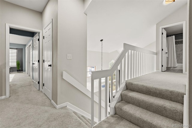 staircase with carpet floors