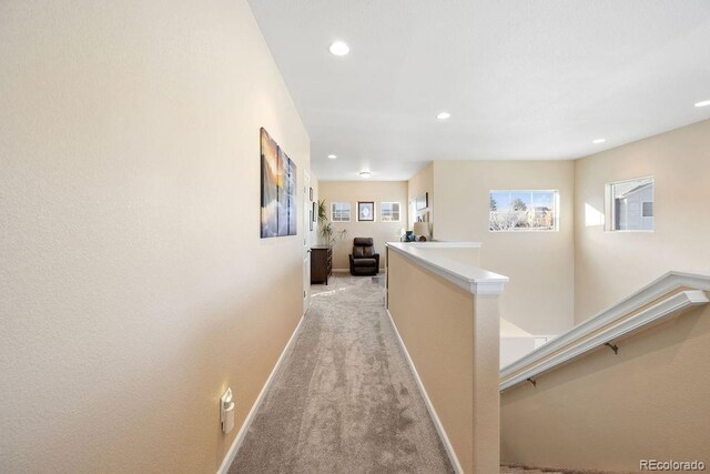 5591 Canyon View Dr, Castle Rock, CO 80104 - photo 24
