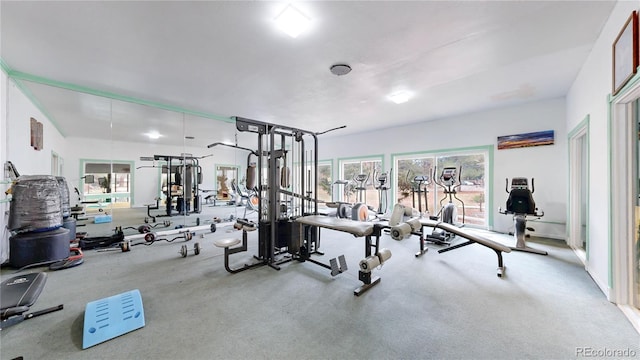 workout area with carpet floors