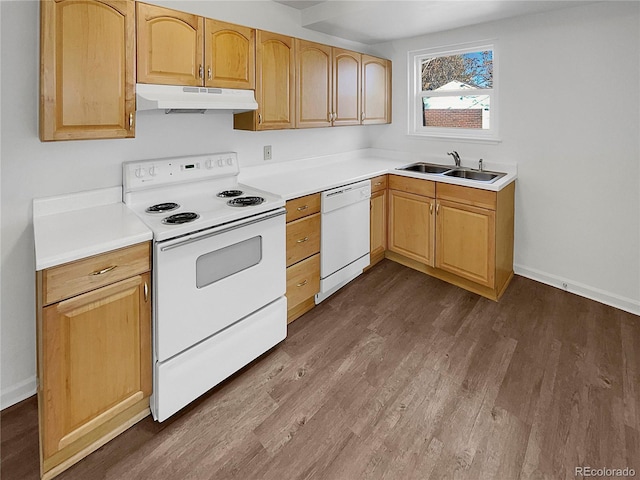 kitchen featuring under cabinet range hood, white appliances, dark wood-style flooring, a sink, and light countertops