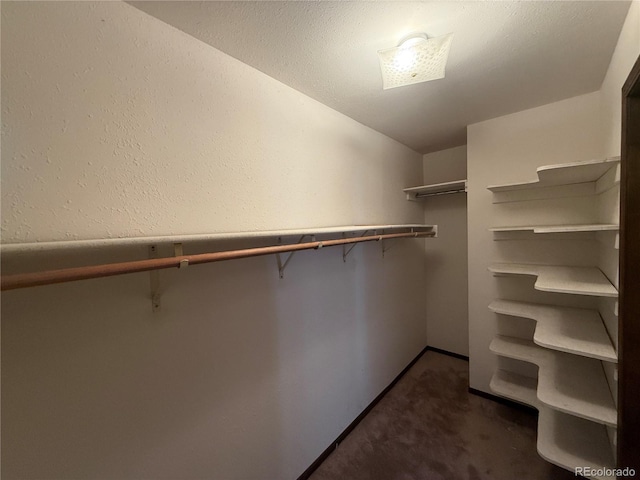 36 Woodchuck Dr, South Fork, CO 81154 - walk in closet featuring dark colored carpet