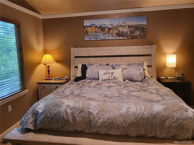 10386 Ravenswood Way, Highlands Ranch, CO 80130 - bedroom with crown molding, lofted ceiling, and multiple windows