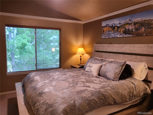 10386 Ravenswood Way, Highlands Ranch, CO 80130 - bedroom featuring vaulted ceiling