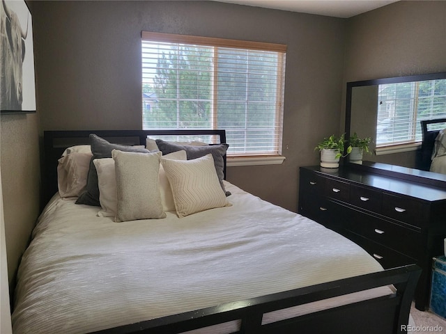 10386 Ravenswood Way, Highlands Ranch, CO 80130 - bedroom featuring multiple windows