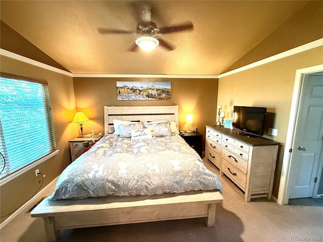10386 Ravenswood Way, Highlands Ranch, CO 80130 - photo 16