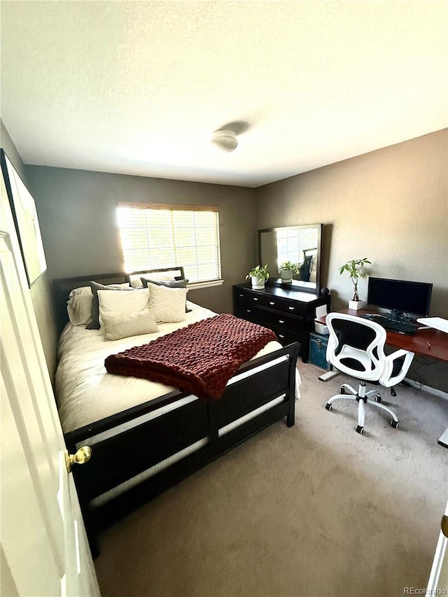10386 Ravenswood Way, Highlands Ranch, CO 80130 - photo 18