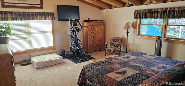 bedroom featuring vaulted ceiling, multiple windows, and carpet flooring