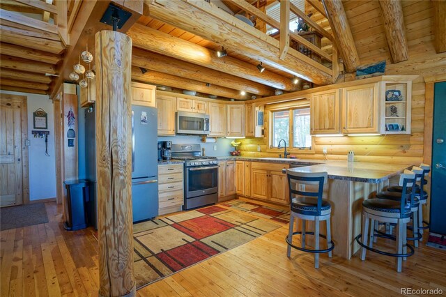 1100 Laker Ln, Fort Garland, CO 81133 - photo 14