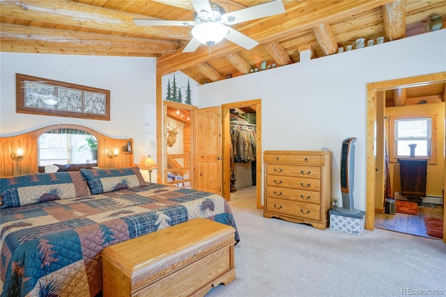 1100 Laker Ln, Fort Garland, CO 81133 - photo 21