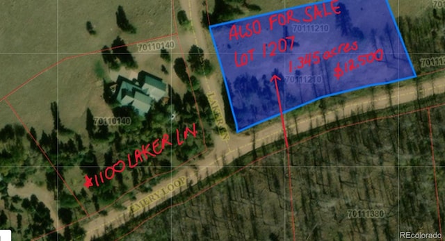 1100 Laker Ln, Fort Garland, CO 81133 - photo 40