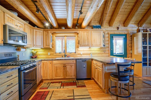 1100 Laker Ln, Fort Garland, CO 81133 - photo 15