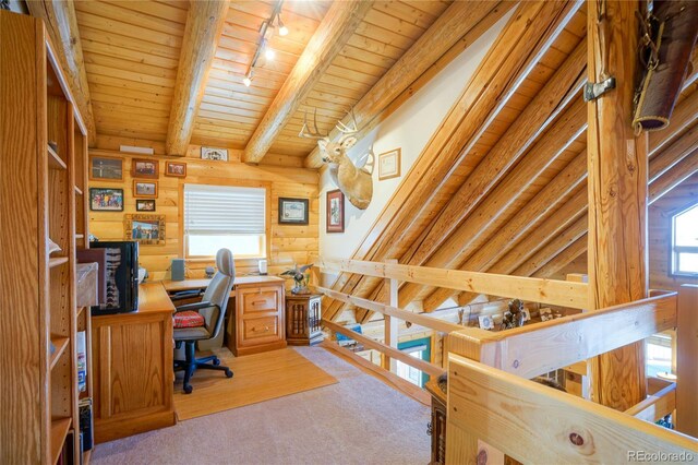 1100 Laker Ln, Fort Garland, CO 81133 - photo 18