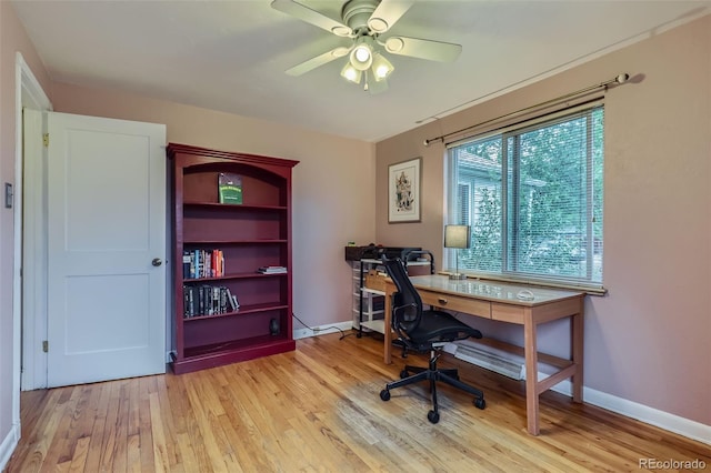 6260 W 45th Pl, Wheat Ridge, CO 80033 - home office with light wood-style flooring, a ceiling fan, and baseboards